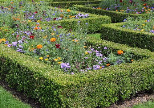 Meister der Gartenkunst: Wie Sie Struktur und Schönheit in Ihrem Garten harmonischvereinen