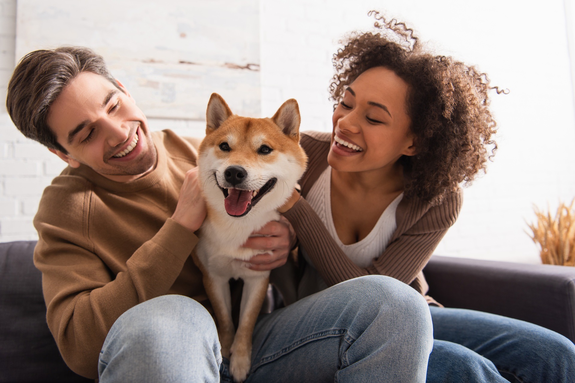 Entspannter Alltag im Wohnzimmer | Bio Hundefutter

