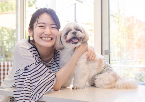 Wohlfühlzonen für Mensch und Hund im Wohnzimmer