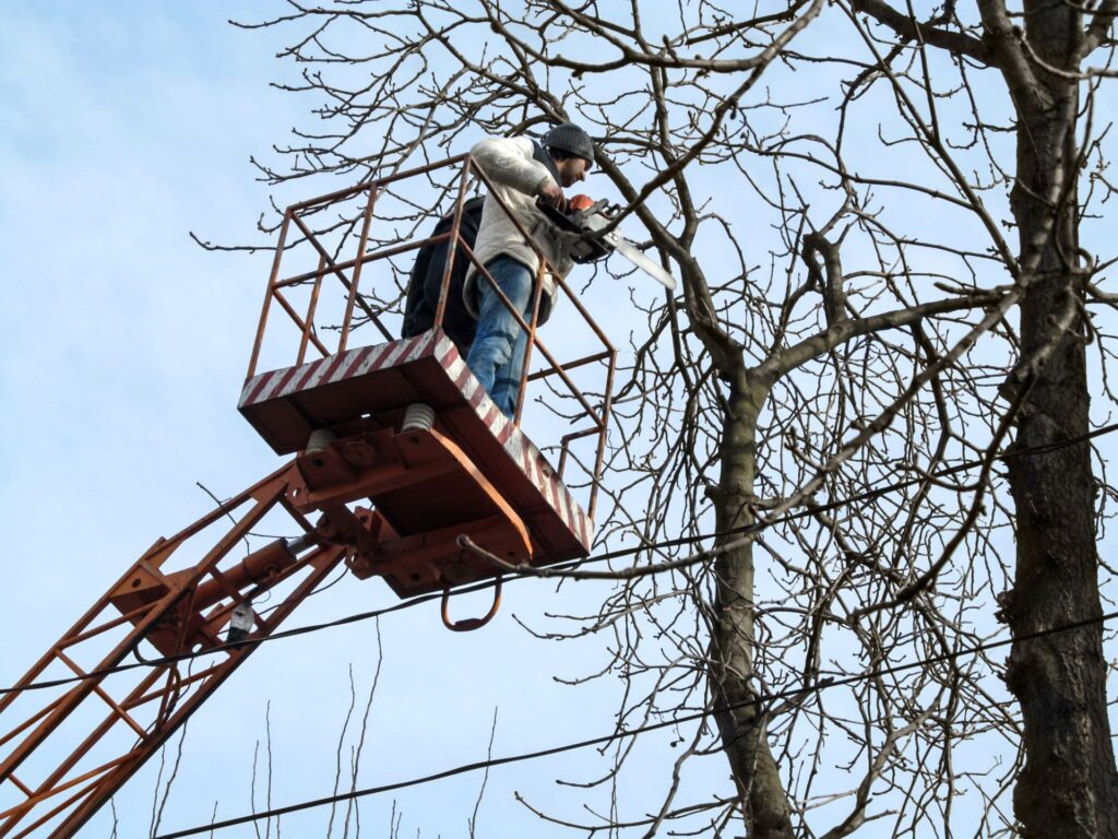 Lkw-Arbeitsbühnen mieten für Baumschnitt
