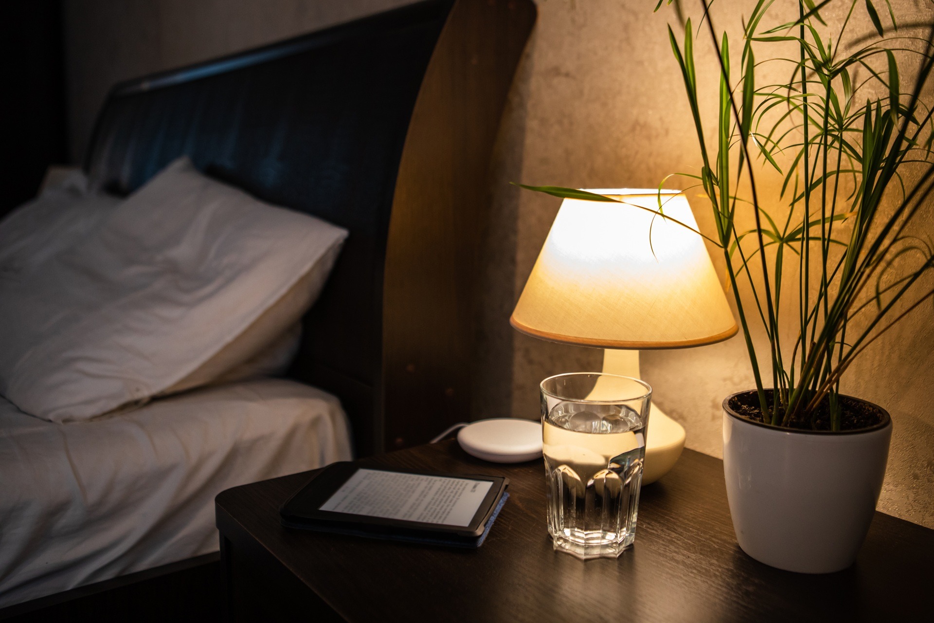 Nachttisch mit Lampe, Pflanze und Wasserglas | Schrankbett